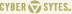 Washington DC web design by CYber SYtes, Inc.